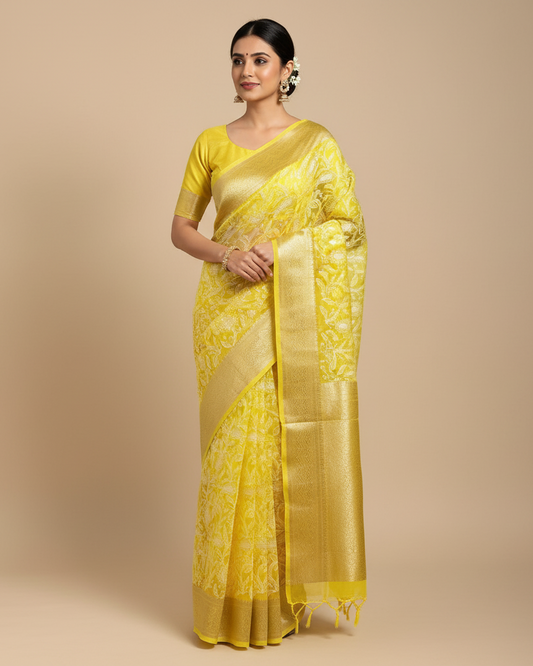 Banarasi organza chikankari saree with zari pallu and rich texture border
