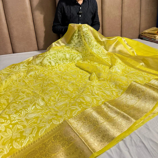 Banarasi organza chikankari saree with zari pallu and rich texture border